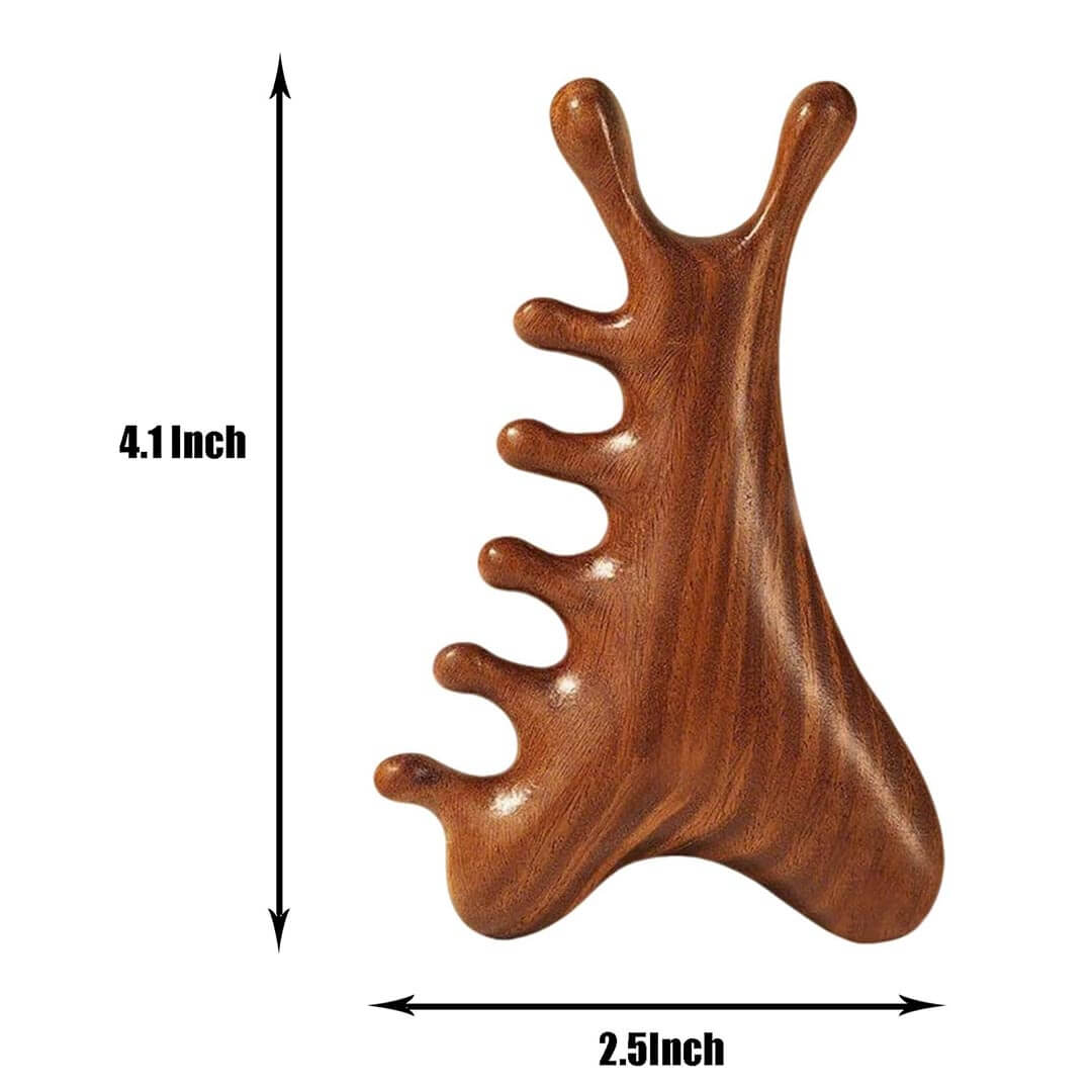 SheFav Versatile Natural Sandalwood Massage Comb